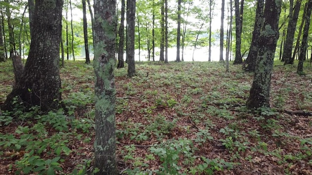 131 Camp Creek Cir, Spencer, TN 38585