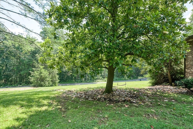 1325 Pilot Dr, Cookeville, TN 38506 - photo 56