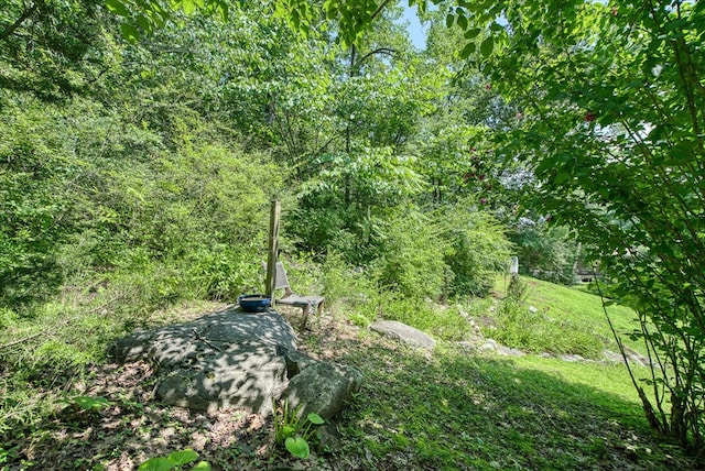 1325 Pilot Dr, Cookeville, TN 38506 - photo 51
