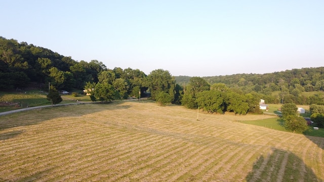 0 Wilkerson Hollow Ln, Brush Creek, TN 38547 - photo 4