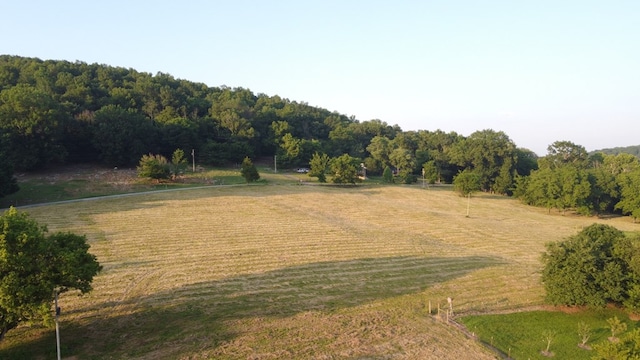 0 Wilkerson Hollow Ln, Brush Creek, TN 38547 - photo 3