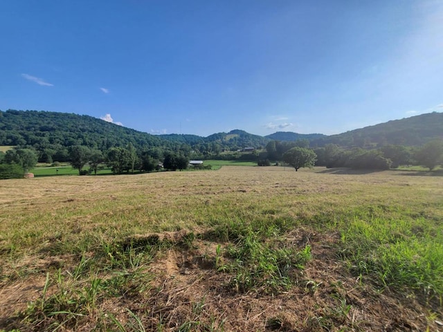 0 Wilkerson Hollow Ln, Brush Creek, TN 38547 - photo 1