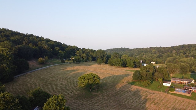 0 Wilkerson Hollow Ln, Brush Creek, TN 38547 - photo 6