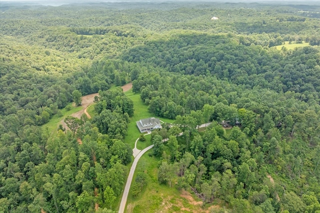 292 Mclerran Cemetery Rd, Moss, TN 38575 - view of property location featuring a forest
