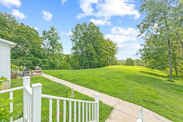 292 Mclerran Cemetery Rd, Moss, TN 38575 - view of green lawn