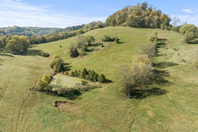 bird's eye view with a rural view