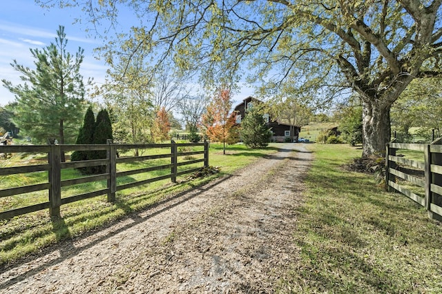 view of road featuring driveway