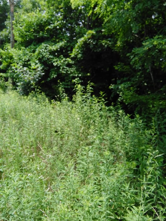 Listing photo 2 for LOT340 Deep Br, Wilder TN 38589