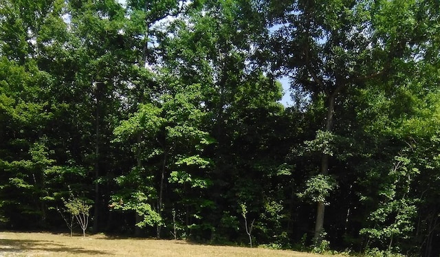 Listing photo 3 for LOT340 Deep Br, Wilder TN 38589