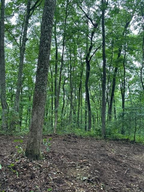 LOT340 Deep Br, Wilder TN, 38589 land for sale