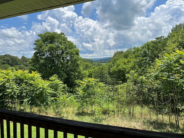 7029 Monterey Hwy, Sparta, TN 38583 - photo 8