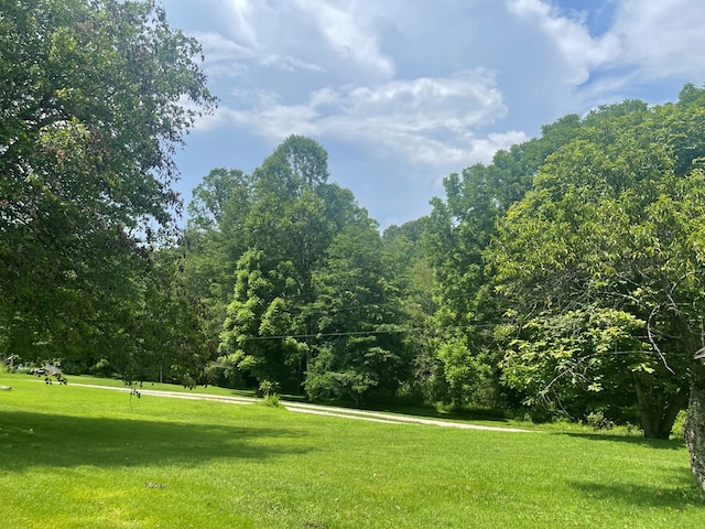 239 Doc Huling Rd, Robbins, TN 37852 - view of home's community with a lawn and a wooded view