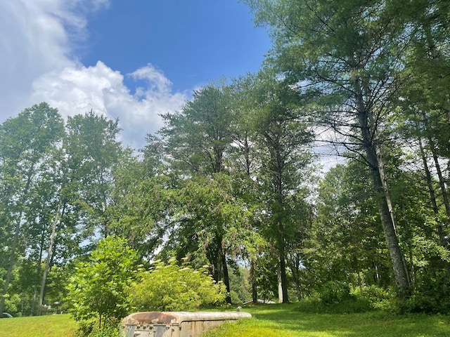 239 Doc Huling Rd, Robbins, TN 37852 - view of home's community with a lawn