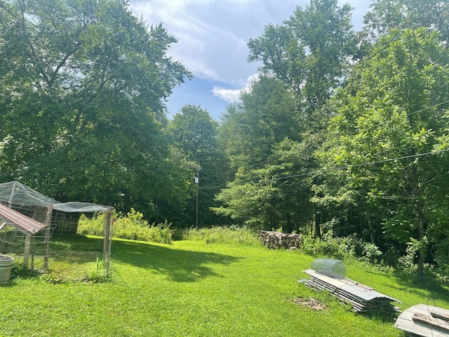 239 Doc Huling Rd, Robbins, TN 37852 - view of green lawn