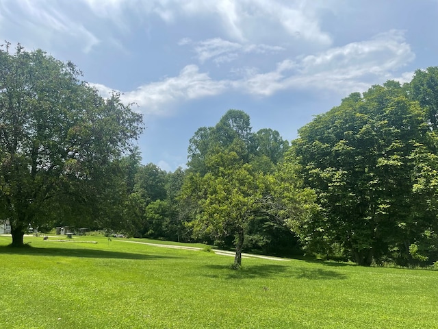 239 Doc Huling Rd, Robbins, TN 37852 - surrounding community featuring a yard