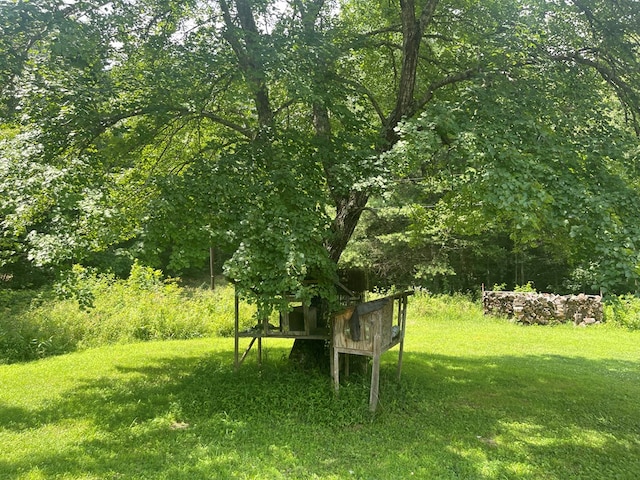 239 Doc Huling Rd, Robbins, TN 37852 - view of green lawn