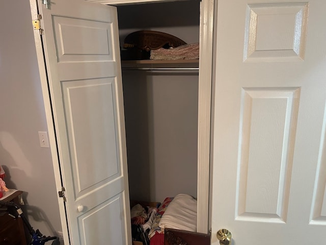 239 Doc Huling Rd, Robbins, TN 37852 - view of closet