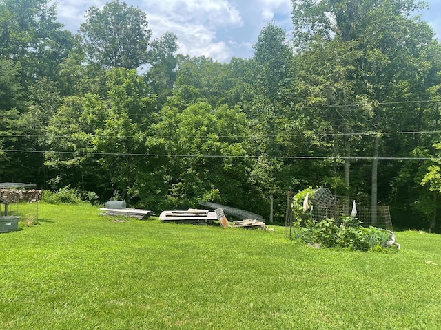 239 Doc Huling Rd, Robbins, TN 37852 - view of grassy yard