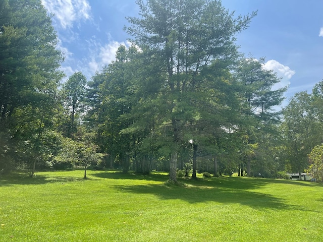 239 Doc Huling Rd, Robbins, TN 37852 - view of grassy yard
