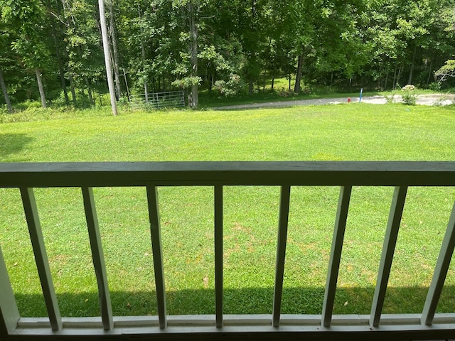 239 Doc Huling Rd, Robbins, TN 37852 - view of green lawn