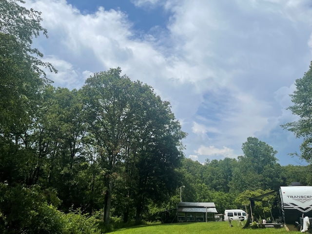 239 Doc Huling Rd, Robbins, TN 37852 - view of green lawn with a view of trees