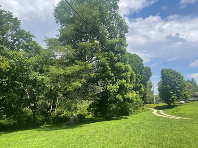 239 Doc Huling Rd, Robbins, TN 37852 - surrounding community with a yard