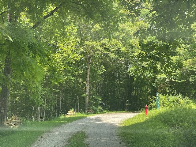 239 Doc Huling Rd, Robbins, TN 37852 - view of street featuring a wooded view