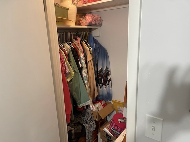 239 Doc Huling Rd, Robbins, TN 37852 - view of closet