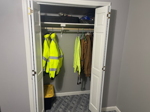 239 Doc Huling Rd, Robbins, TN 37852 - view of closet