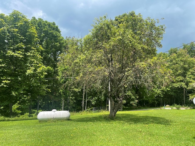 239 Doc Huling Rd, Robbins, TN 37852 - view of green lawn with a wooded view
