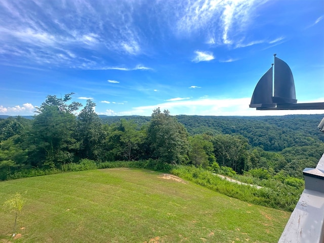 197 Sunfish Ln, Hilham, TN 38568 - view of mountain backdrop with a forest