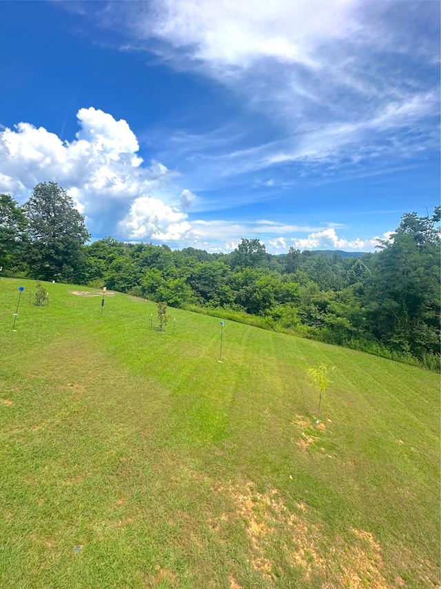 197 Sunfish Ln, Hilham, TN 38568 - view of yard