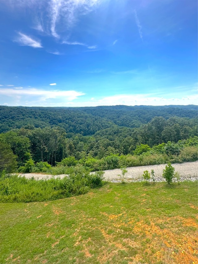 197 Sunfish Ln, Hilham, TN 38568 - view of mountain backdrop with a heavily wooded area