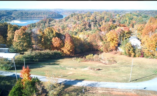 00 Hassler Ln, Byrdstown TN, 38549 land for sale