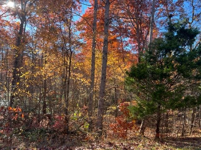 0 T Pl, Monterey, TN 38574