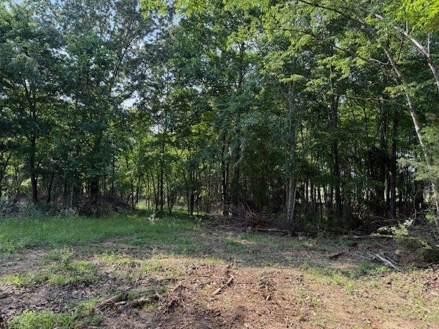 0 Roy Foster Rd, Mcminnville, TN 37110 - photo 9