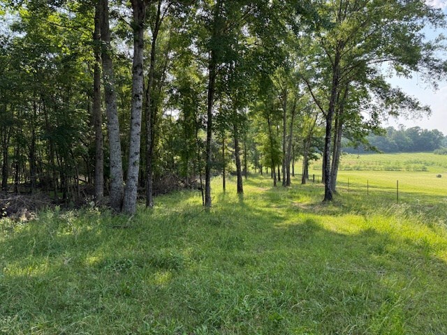 0 Roy Foster Rd, Mcminnville, TN 37110 - photo 10