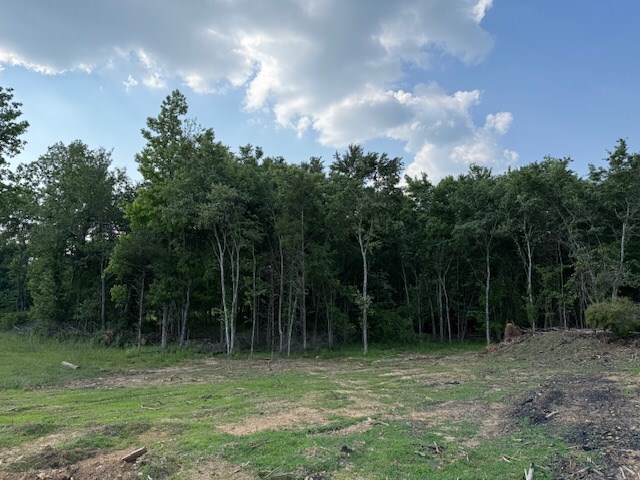 0 Roy Foster Rd, Mcminnville, TN 37110 - photo 5