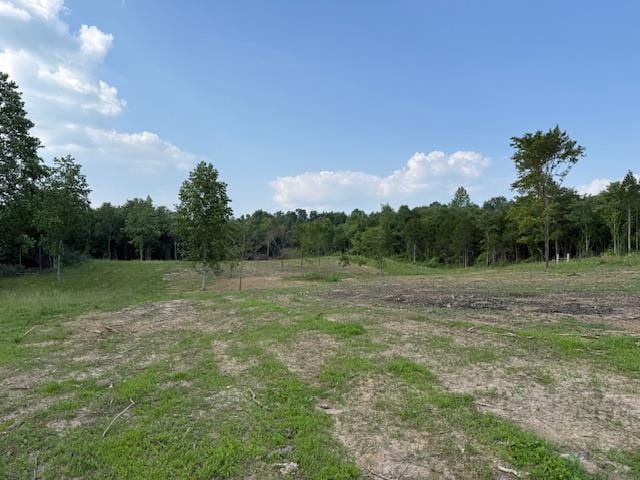 0 Roy Foster Rd, Mcminnville, TN 37110 - photo 1