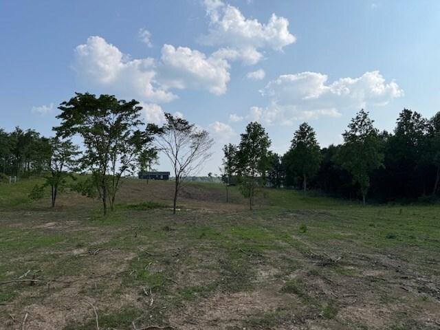 0 Roy Foster Rd, Mcminnville, TN 37110 - photo 6
