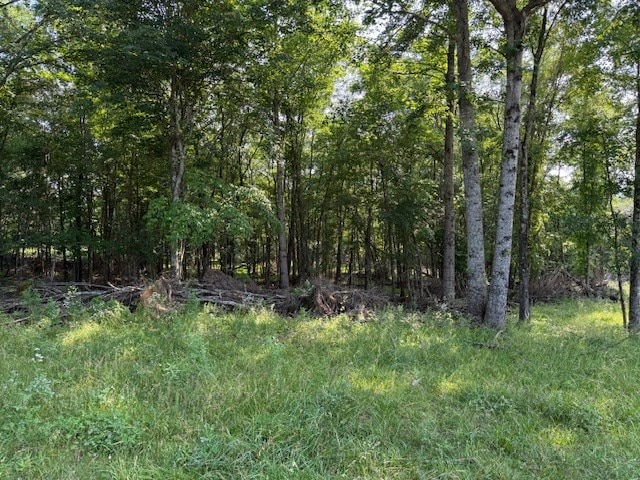 0 Roy Foster Rd, Mcminnville, TN 37110 - photo 11