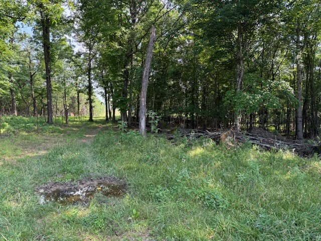 0 Roy Foster Rd, Mcminnville, TN 37110 - photo 12