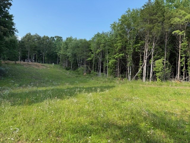 0 Roy Foster Rd, Mcminnville, TN 37110 - photo 7
