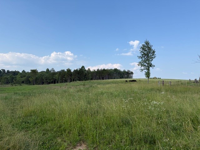 0 Roy Foster Rd, Mcminnville, TN 37110 - photo 3