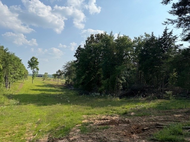 0 Roy Foster Rd, Mcminnville, TN 37110 - photo 8