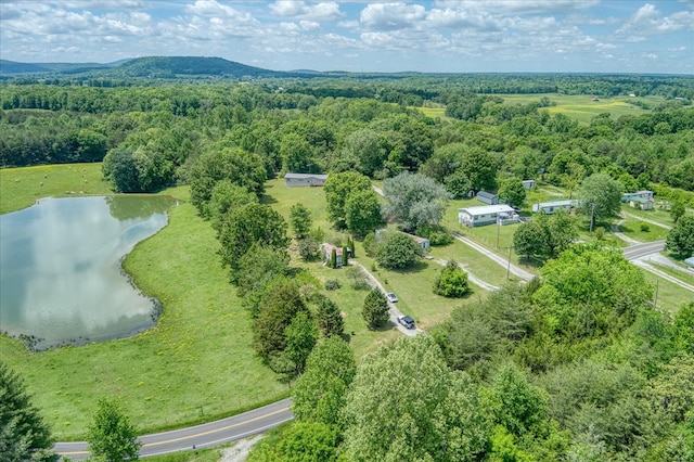 280 Bone Cave Rd, Rock Island, TN 38581 - photo 21