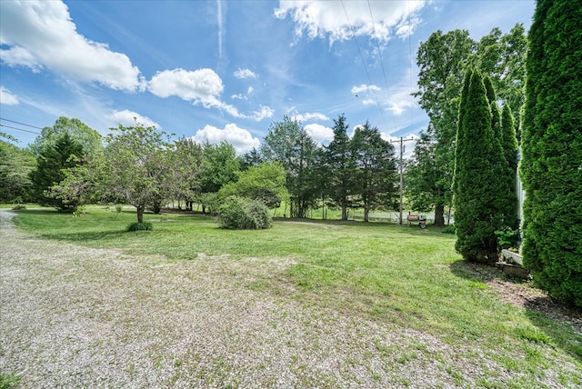 280 Bone Cave Rd, Rock Island, TN 38581 - photo 6