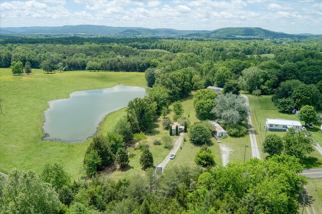 280 Bone Cave Rd, Rock Island, TN 38581 - photo 17