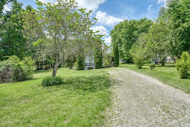 280 Bone Cave Rd, Rock Island, TN 38581 - photo 9