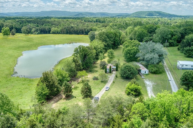 280 Bone Cave Rd, Rock Island, TN 38581 - photo 18
